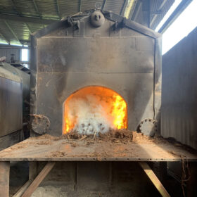 Buong dot lo hoi dot vo cay