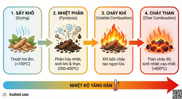 4 Giai doan chay Biomass