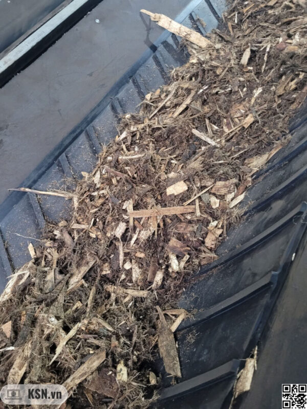 Các lỗi nguy hiểm thường bị bỏ qua trong hệ thống lò hơi công nghiệp 2 Nhiên liệu biomass trên băng tải