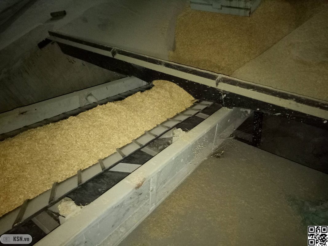 Nhiên liệu trấu được cấp tự động cho lò hơi bằng băng tải